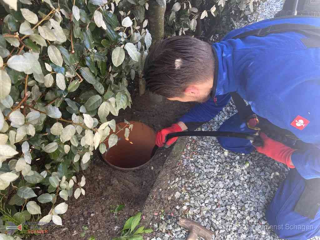 Rioolvliegjes Schagen Rioolvliegjes Schagen